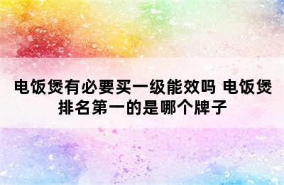 电饭煲有必要买一级能效吗 电饭煲排名第一的是哪个牌子